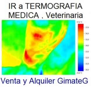  termografia medica fisioterapia y veterinaria testo flir GimateG